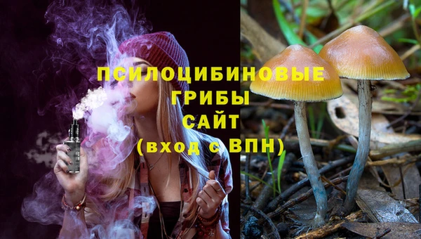 ПСИЛОЦИБИНОВЫЕ ГРИБЫ Медногорск