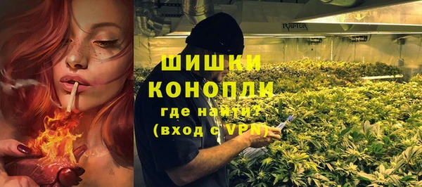 ПСИЛОЦИБИНОВЫЕ ГРИБЫ Анива