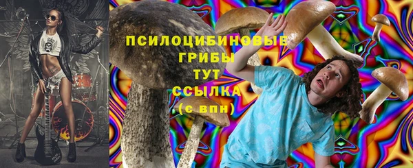 ПСИЛОЦИБИНОВЫЕ ГРИБЫ Медногорск