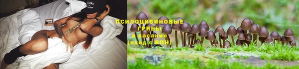 скорость Михайловск
