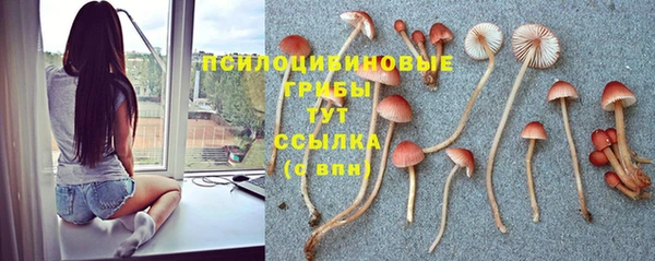 а пвп мука Анжеро-Судженск