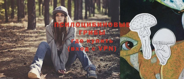 шишки Михайловка