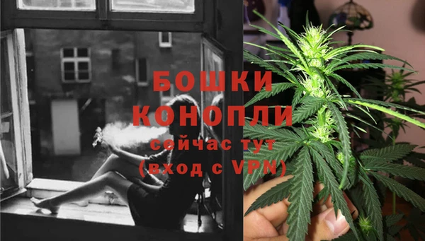 ПСИЛОЦИБИНОВЫЕ ГРИБЫ Медногорск