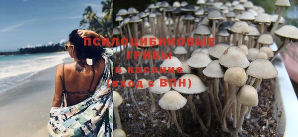 мяу мяу мука Медвежьегорск
