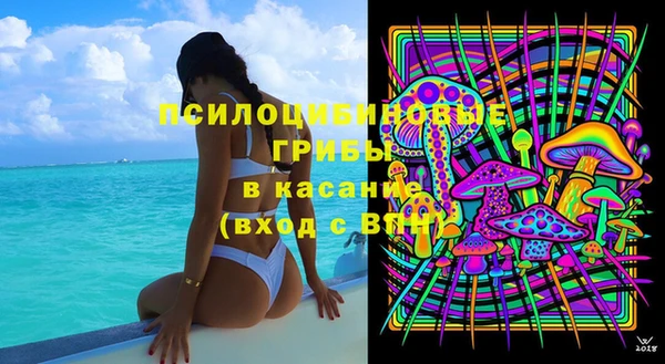 шишки Михайловка