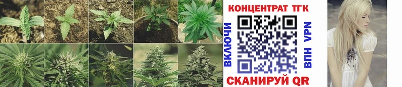 Купить закладки Дно Дистиллят ТГК вейп с тгк