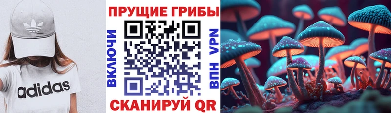 Галлюциногенные грибы Psilocybe Купить закладки Дно
